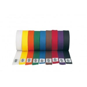 Taekwondo / karate belt